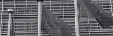 EU Council extends sanctions against Russia until January 2025